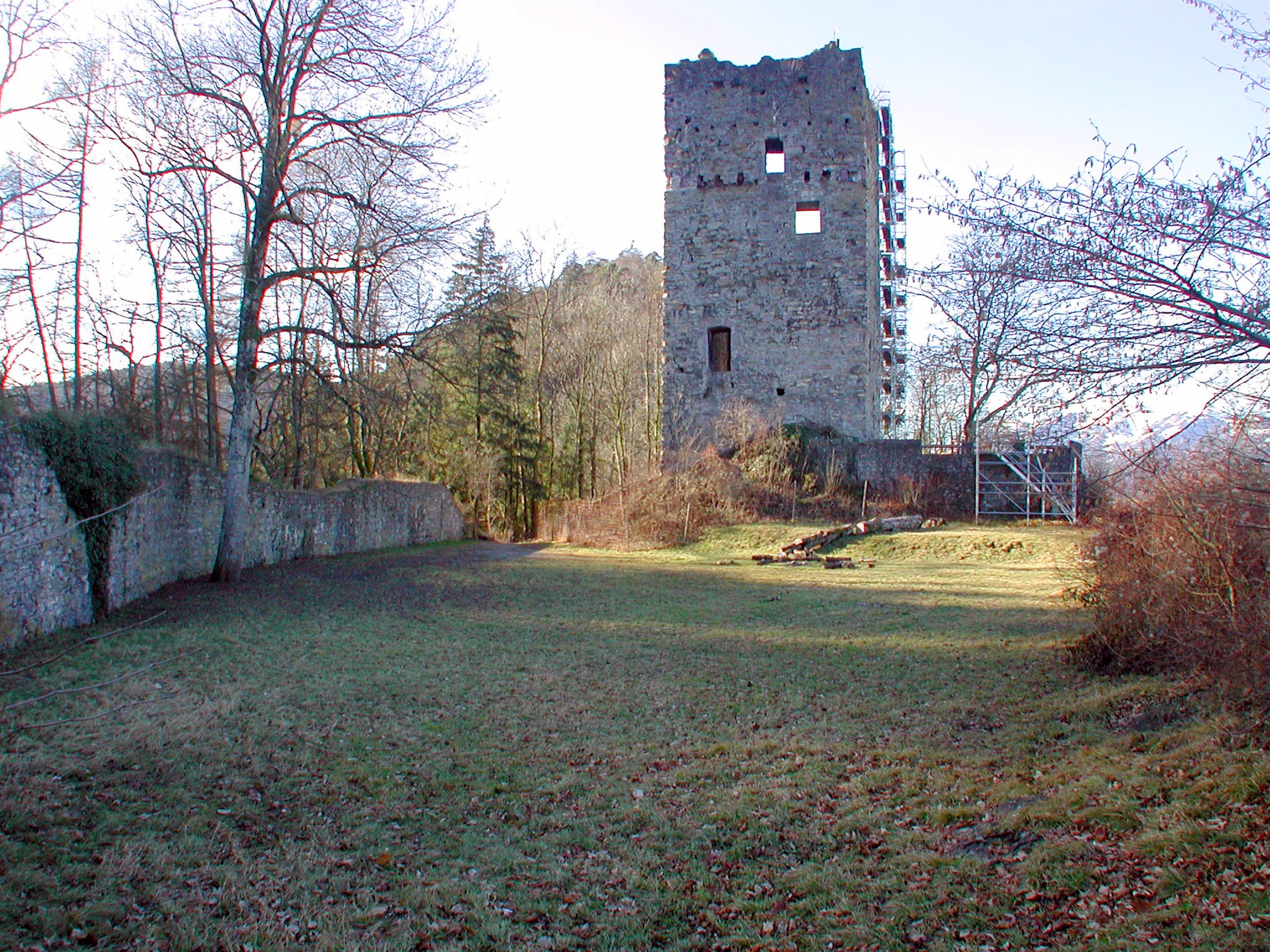 Ruine Neu Montfort